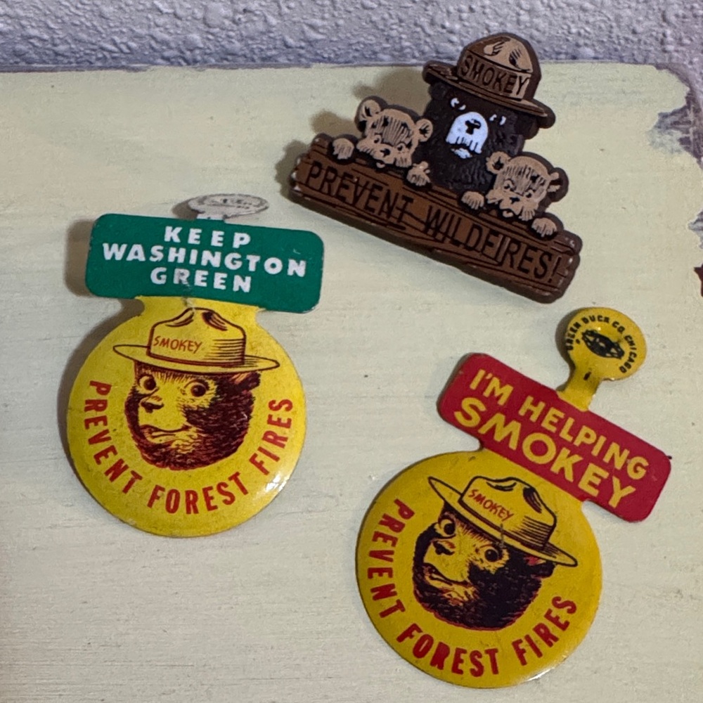 VTG Smokey Bear Prevent Forest Fires Pin & 2 badges set collectible